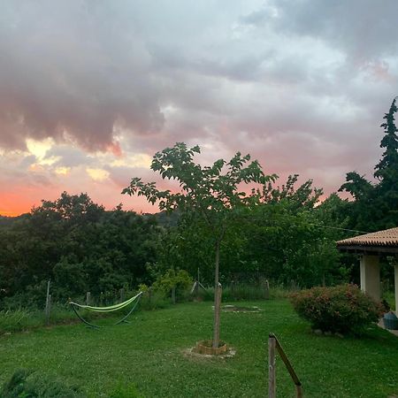 Agriturismo Il Covo Del Solengo Valtopina Bagian luar foto