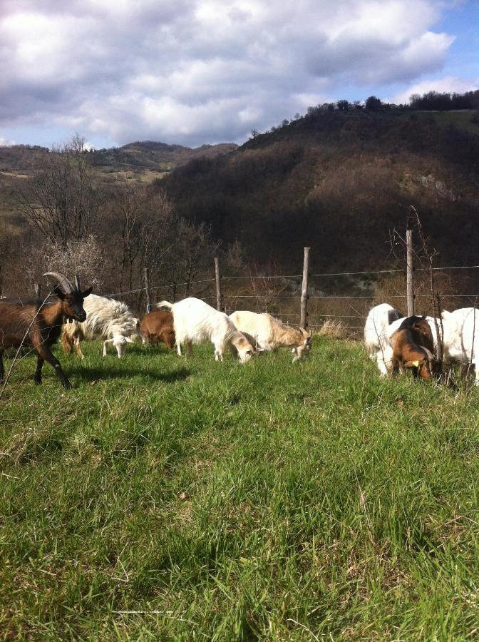 Agriturismo Il Covo Del Solengo Valtopina Bagian luar foto