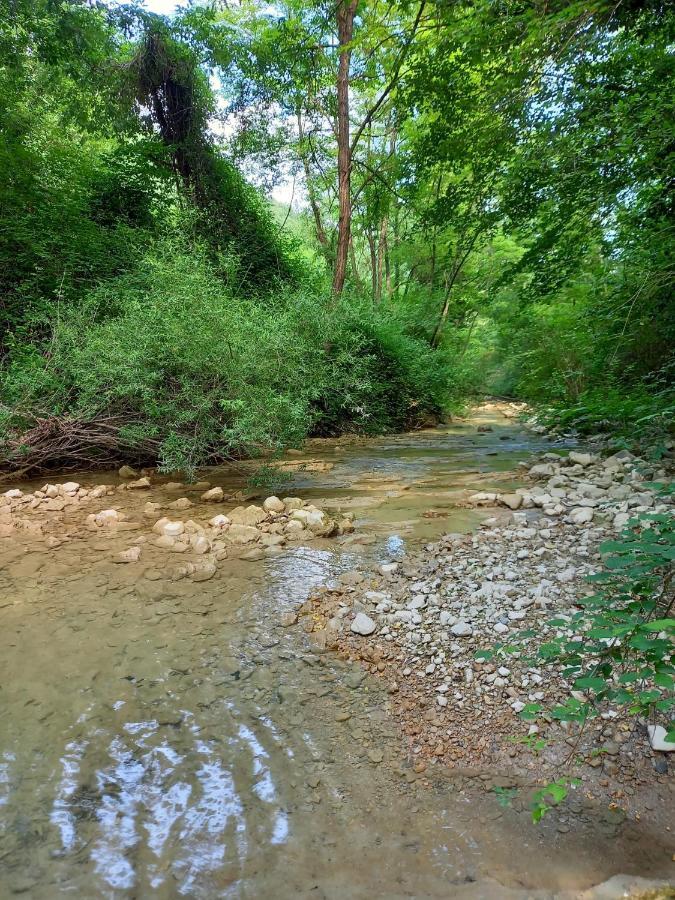 Agriturismo Il Covo Del Solengo Villa Valtopina Bagian luar foto