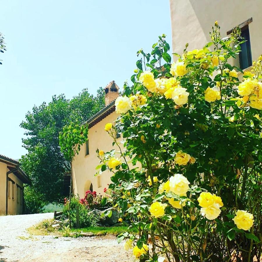 Agriturismo Il Covo Del Solengo Valtopina Bagian luar foto