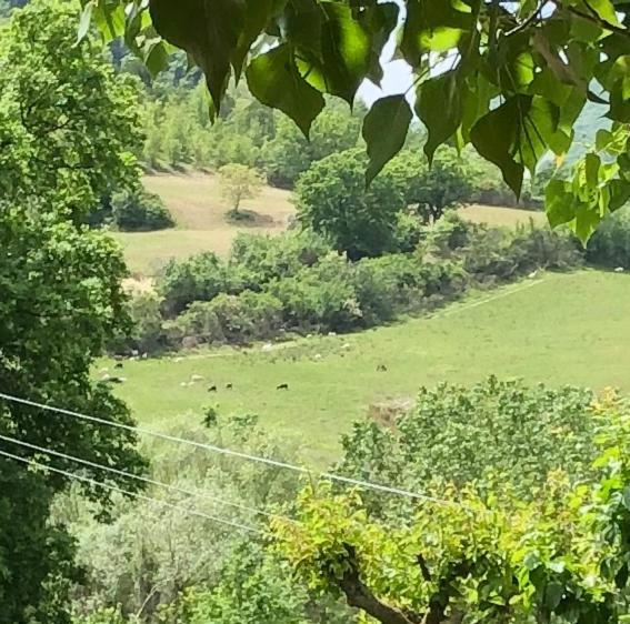 Agriturismo Il Covo Del Solengo Valtopina Bagian luar foto