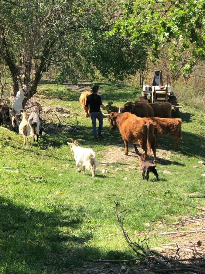 Agriturismo Il Covo Del Solengo Valtopina Bagian luar foto