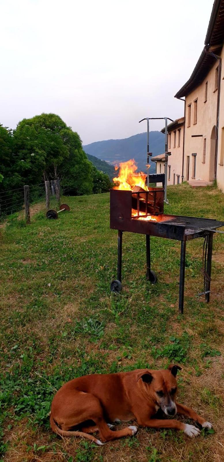 Agriturismo Il Covo Del Solengo Valtopina Bagian luar foto