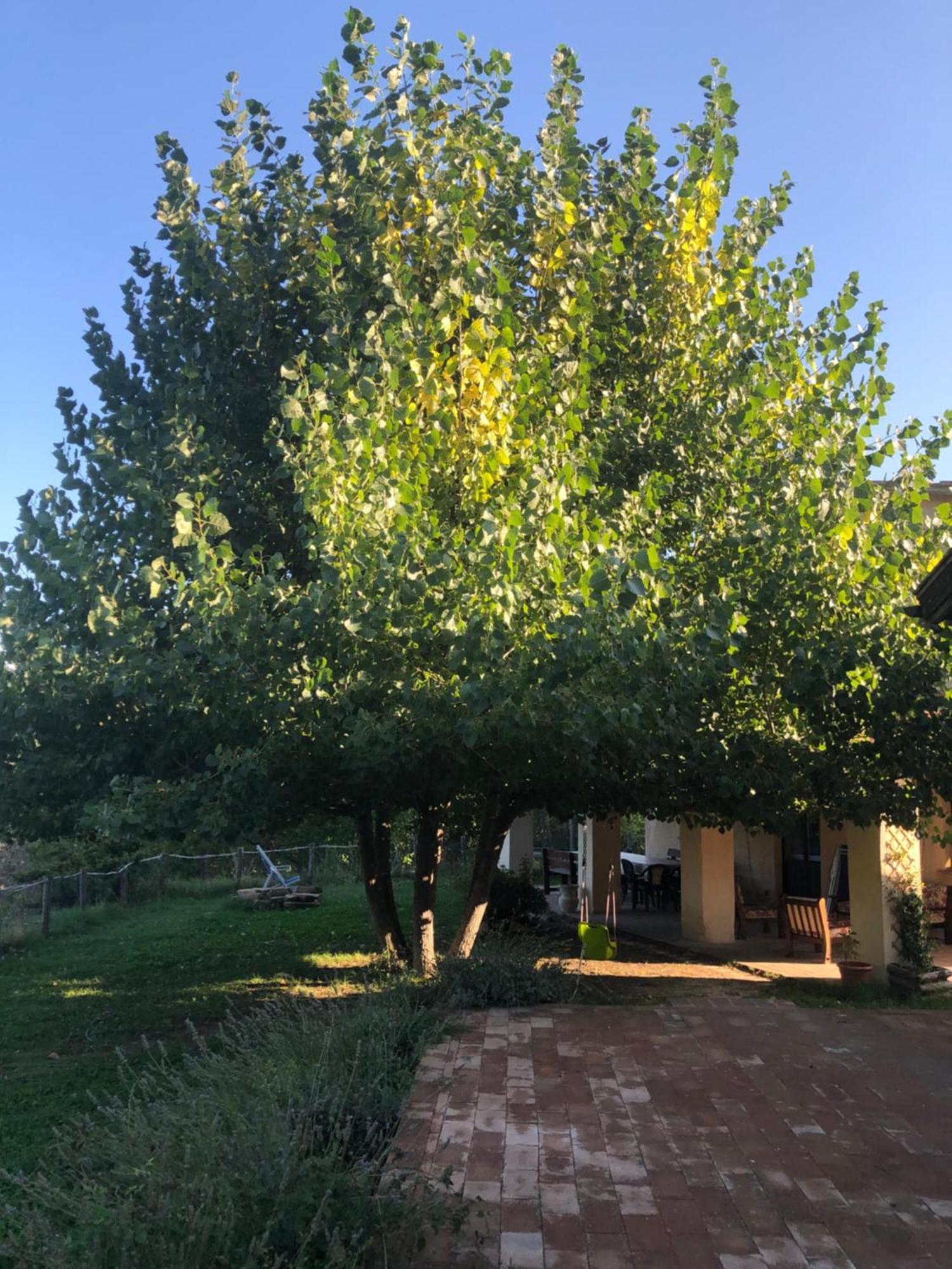 Agriturismo Il Covo Del Solengo Valtopina Bagian luar foto